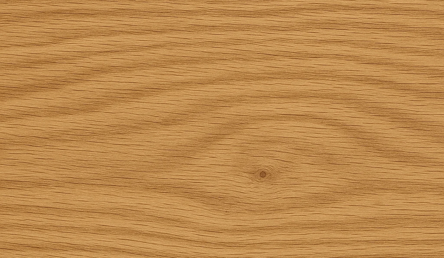 foto5.png