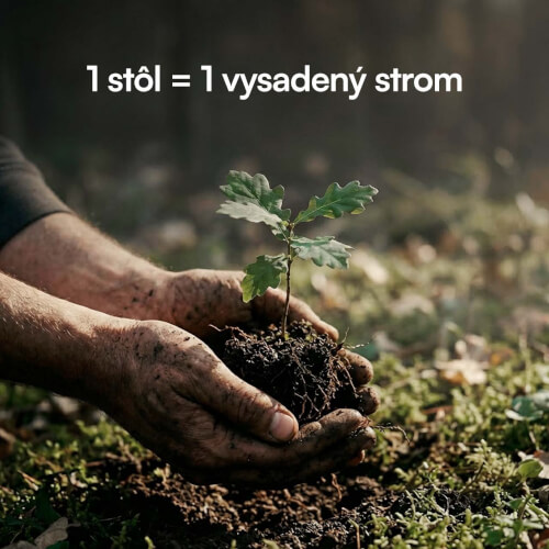 foto66.jpg